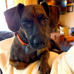 Meet your Posher, Heather